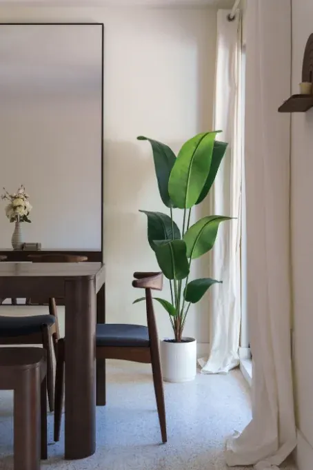 A dining corner with a dark wood table, a potted bird-of-paradise, and a full-length mirror